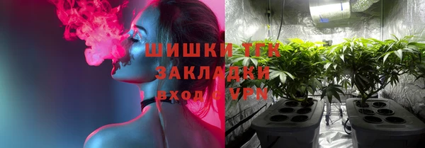 сатива Богородск