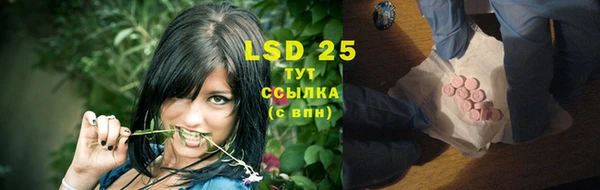 тгк Богданович