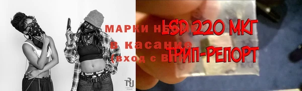тгк Богданович