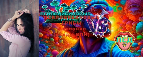 сатива Богородск