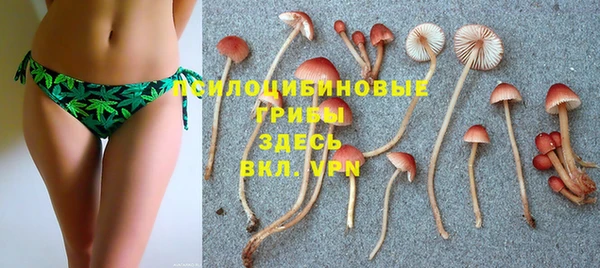наркотики Богородицк