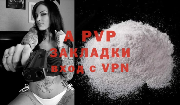 тгк Богданович