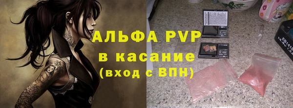 сатива Богородск