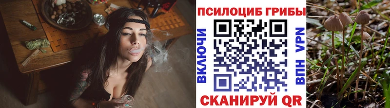 Купить  Слюдянка  Галлюциногенные грибы Psilocybe 